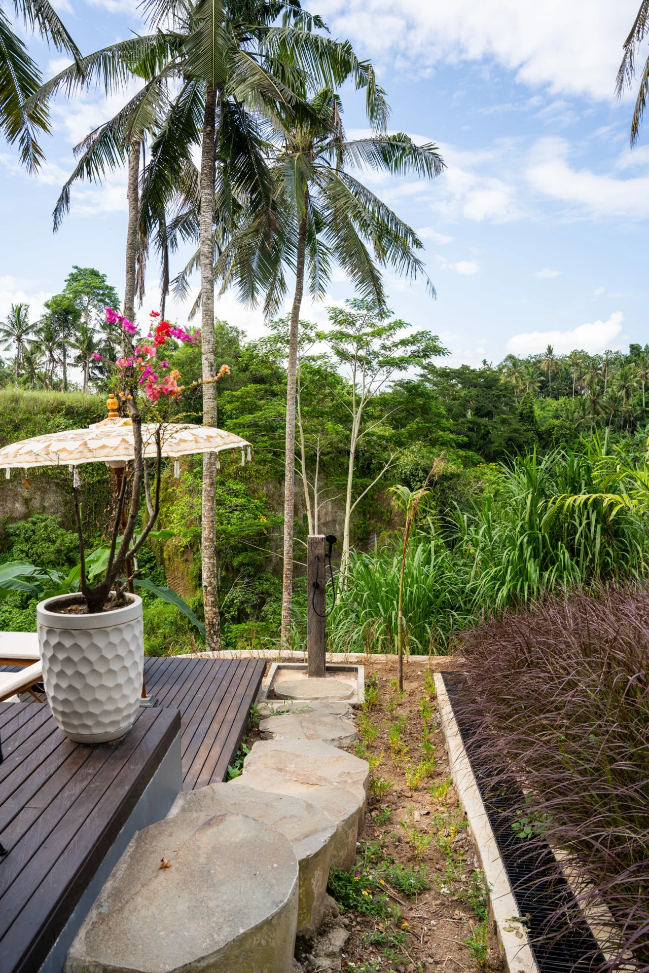 Ubud tropical scenery